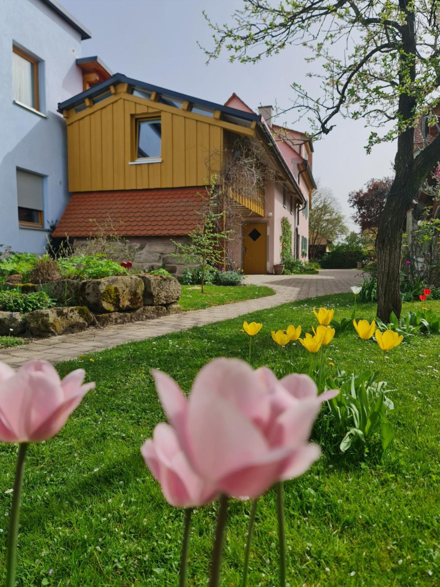 Ferienwohnung Wiesenhof Neuhof an der Zenn Exteriér fotografie